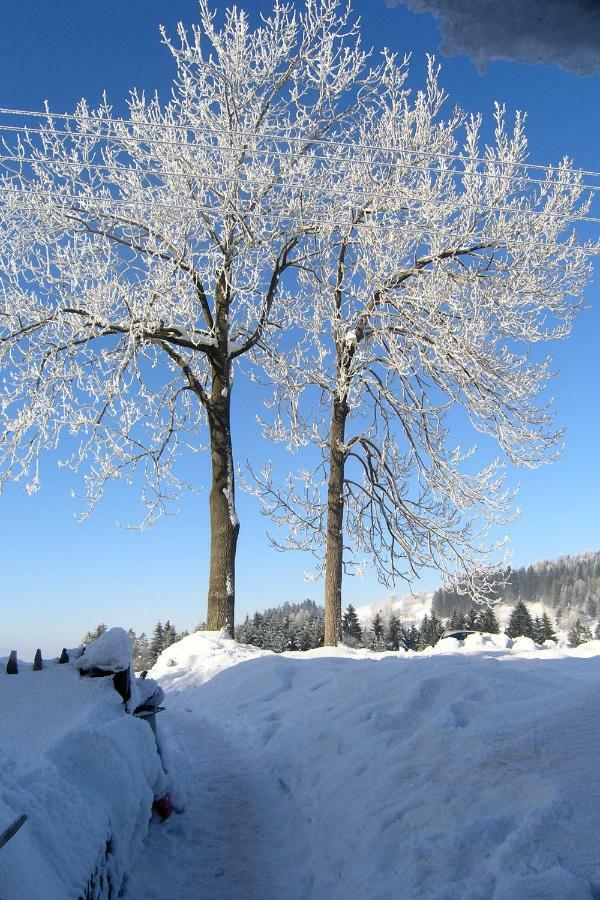 Chata U Zaby Zwardoń Exteriér fotografie